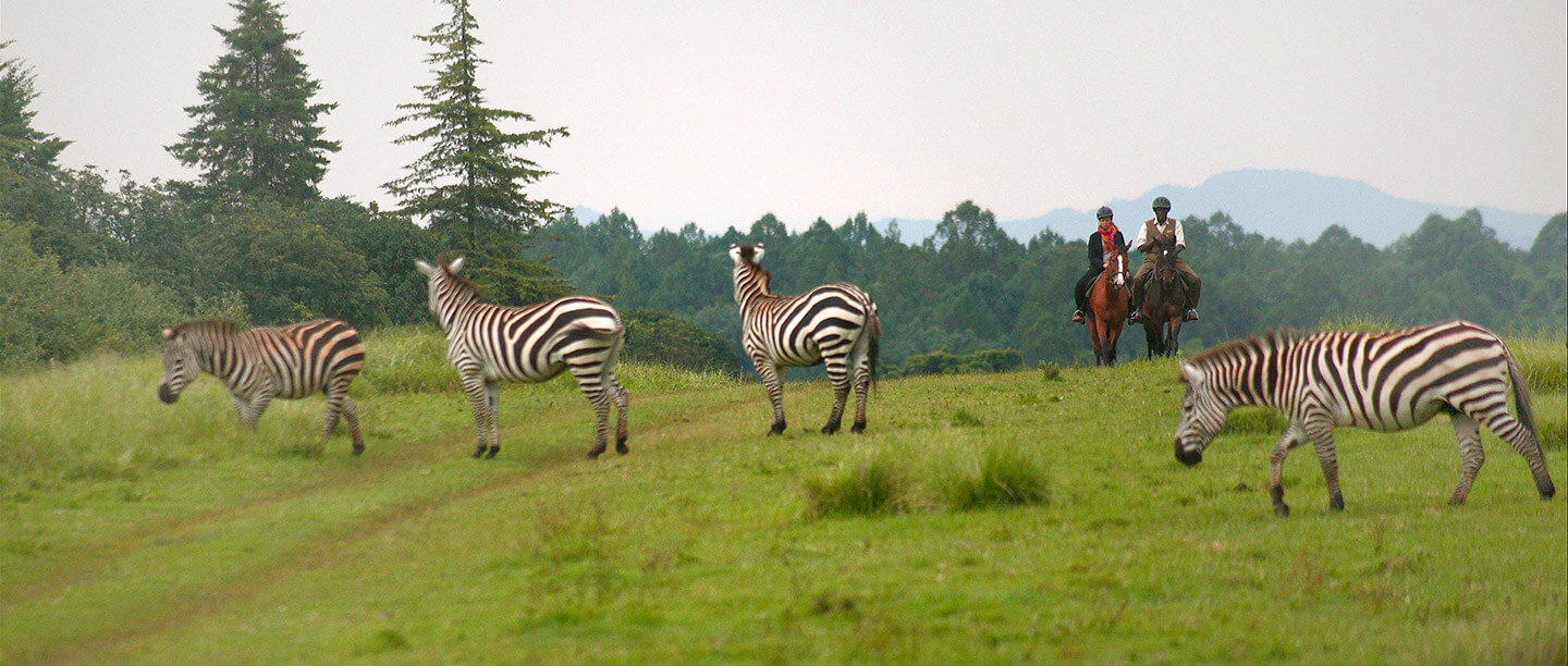 mount kenya safari club activities